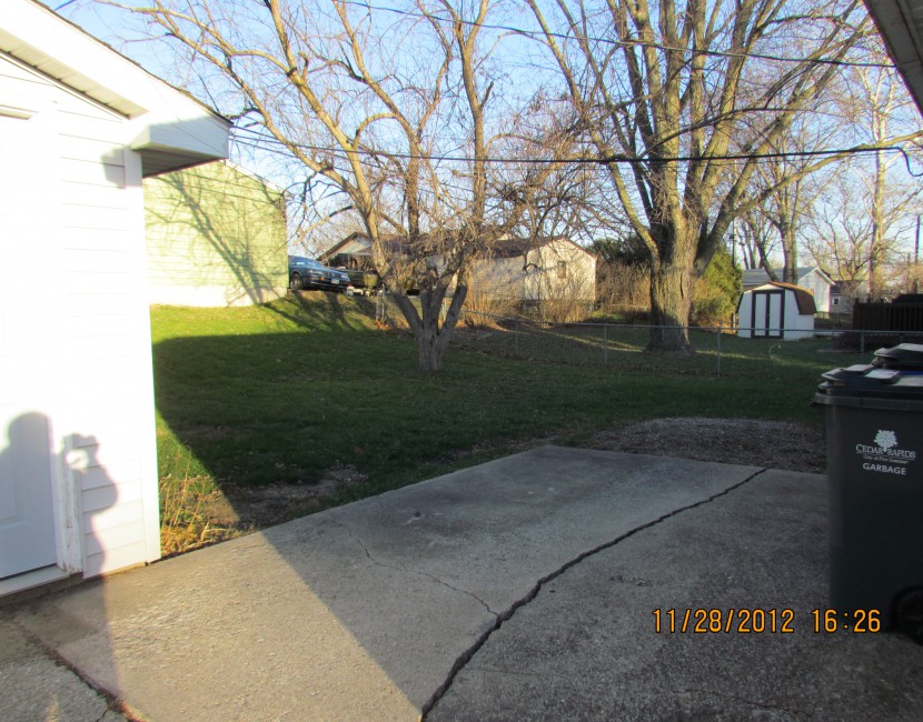 Backyard